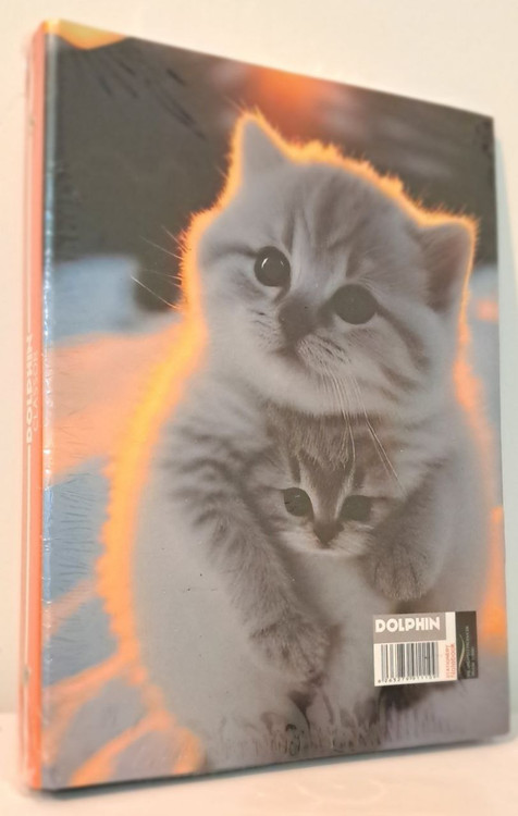 کلاسور عمده تهران