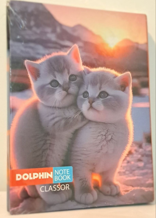 خرید کلاسور عمده