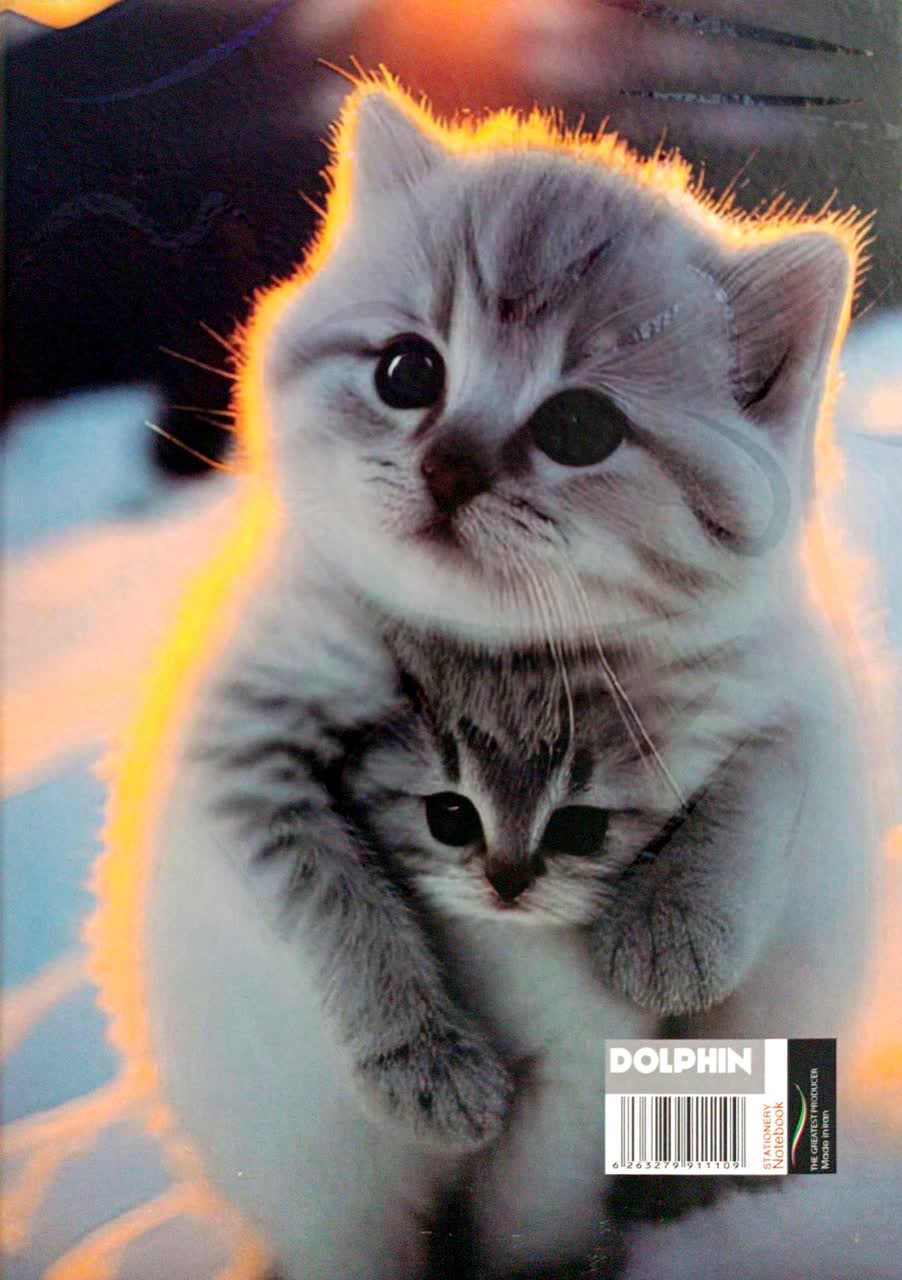 کلاسور طرح گربه