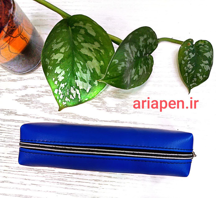 خرید جامدادی ارزان آبی