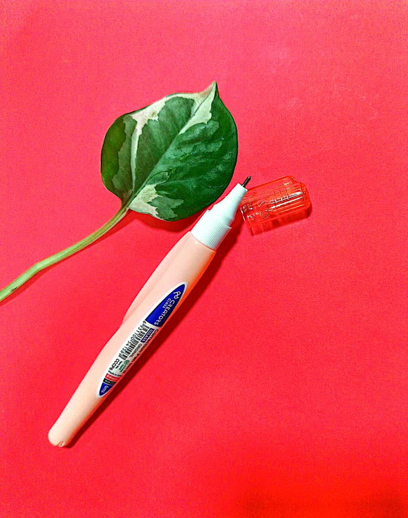 لاک غلط گیر سی کلاس