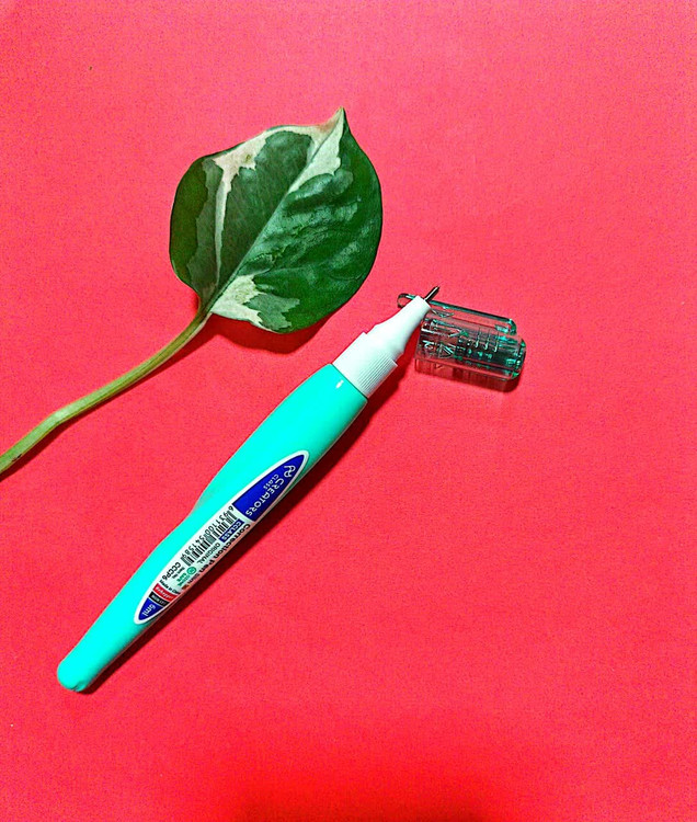 لاک غلط گیر پاستلی سبز