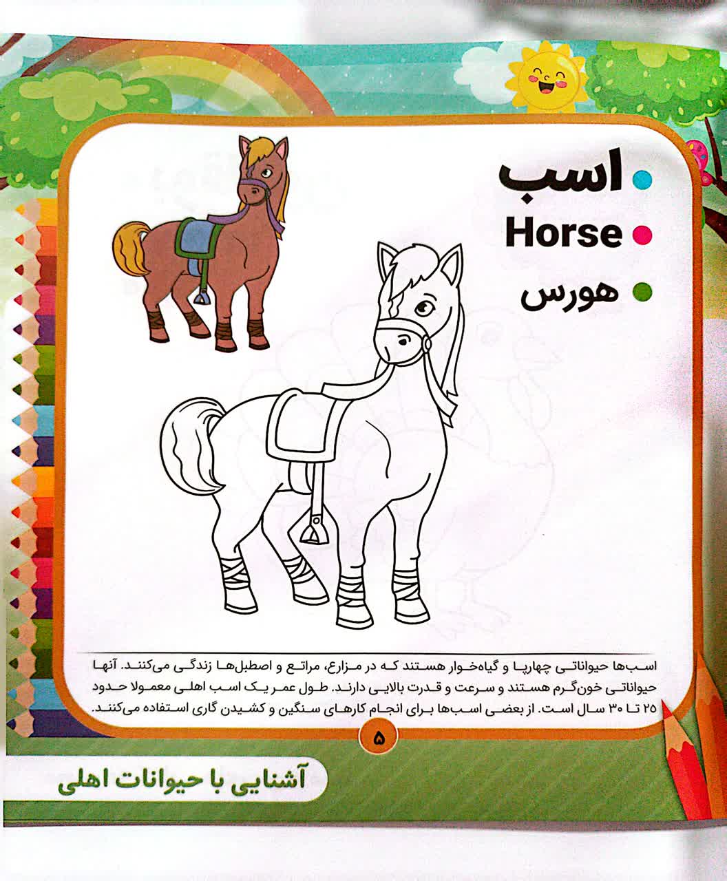 کتاب رنگ آمیزی کودکان ارزان