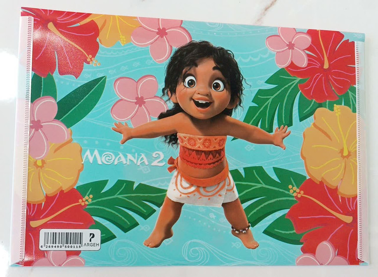 انواع پوشه دکمه دار