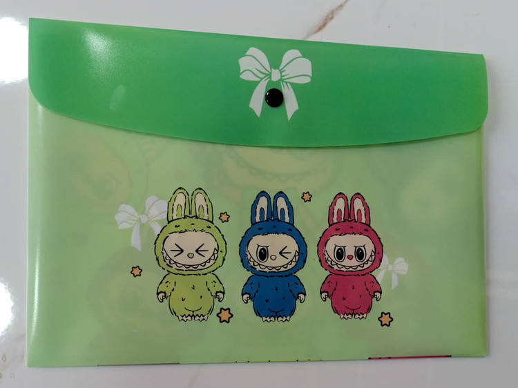 خرید پوشه دکمه دار لبوبو