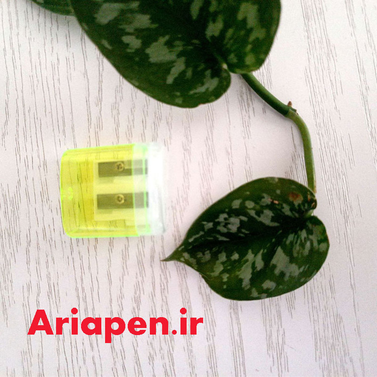 مداد تراش مخزن دار پاستلی